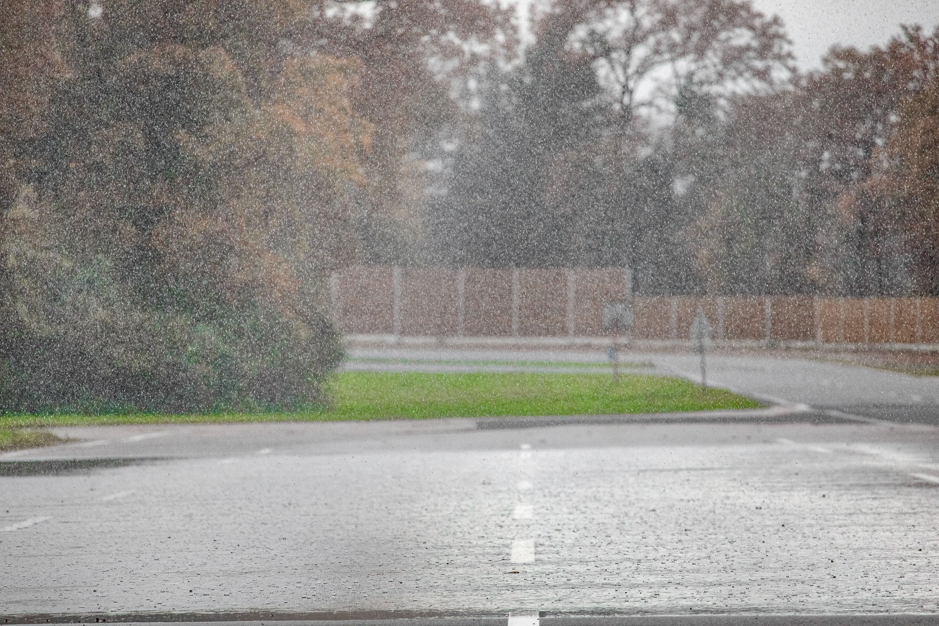 homogener-regen-autonomes-fahren